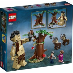 LEGO 75967 HARRY POTTER Forbidden Forrest  GIU 2020 