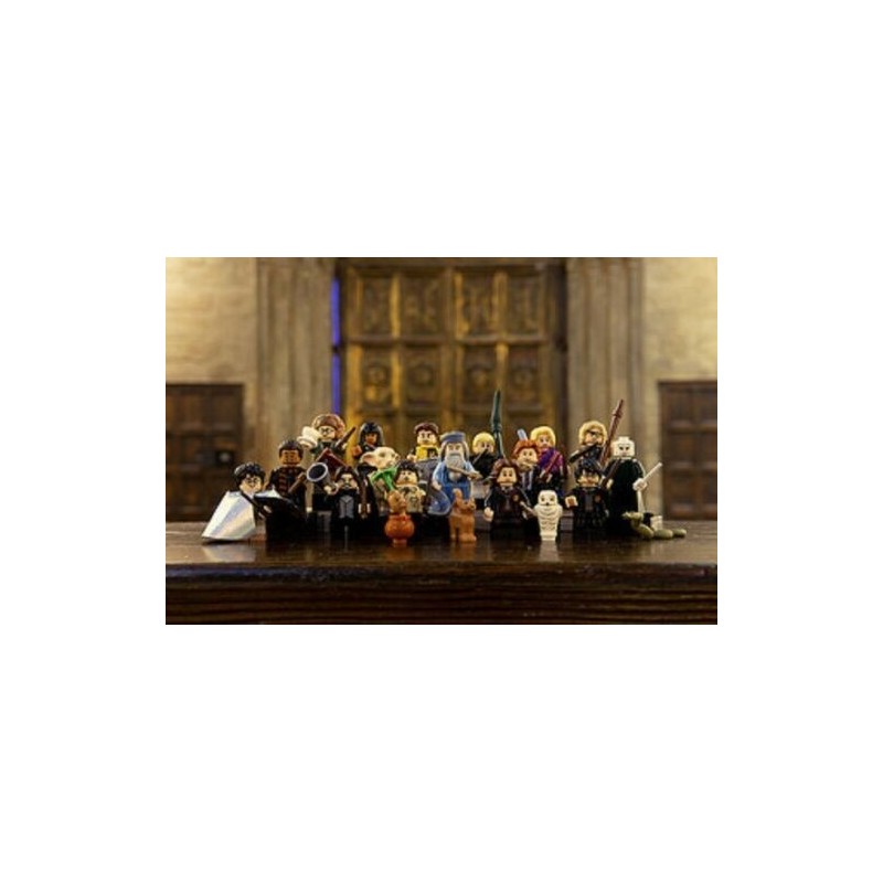 LEGO 71022 SERIE COMPLETA 16 PERSONAGGI DI HARRY POTTER DA WIZARDING WORLD