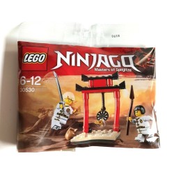 LEGO Ninjago 30530 Wu-CRU Target Addestramento Lloyd & Nya POLYBAG 