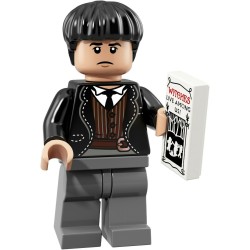 LEGO 71022 - 21 WIZARDING WORLD SERIE Credence Barebone ANIMALI FANTASTICI