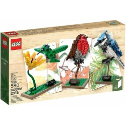 LEGO 21301 IDEAS -009 BIRDS - C