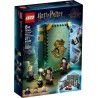 LEGO HARRY POTTER 76383 POZIONI (LIBRO APERTO) GENNAIO 2021