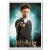 DRAGON SHIELD MATTE ARTE WIZARDING WORLD HARRY POTTER 100 SLEEVES 63X88MM -16019