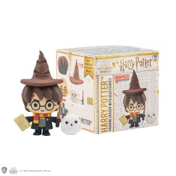 HARRY POTTER GOMEE CHARACTER  - HARRY POTTER CON SCATOLINA