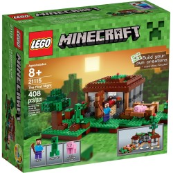 LEGO 21115 LA PRIMA NOTTE MINECRAFT  RARO