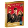 HARRY POTTER COFANETTO ORO EXCLUSIVITY MAGHI E STREGHE con ALBUM BUSTINE CARD
