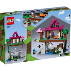 LEGO 21183 I CAMPI D’ALLENAMENTO MINECRAFT GENNAIO 2022