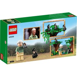 LEGO 40530 TRIBUTO A JANE GOODALL - SET ESCLUSIVO 2022