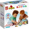 LEGO 10986 DUPLO  CASA SU RUOTE GENNAIO 2023