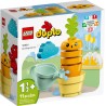 LEGO 10981 DUPLO  UNA CAROTA CHE CRESCE MARZO 2023