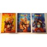 DRAGON BALL 4 QUADERNI RIGO CLASSICO ( 4 PEZZI )