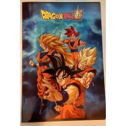 DRAGON BALL 4 QUADERNI RIGO CLASSICO ( 4 PEZZI )