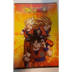 DRAGON BALL 4 QUADERNI RIGO CLASSICO ( 4 PEZZI )