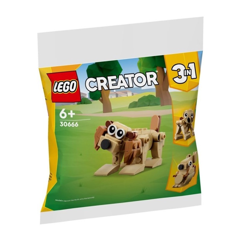 LEGO 30666 CREATOR ANIMALI REGALO POLYBAG