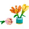 LEGO 30634 FRINEDS I FIORI DELL'AMICIZIA