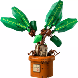 LEGO 76433 HARRY POTTER  MANDRAGOLA GIUGNO 2024