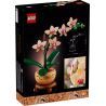 LEGO 10343 BOTANICALS MINI-ORCHIDEA GENNAIO 2025