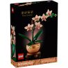 LEGO 10343 BOTANICALS MINI-ORCHIDEA GENNAIO 2025