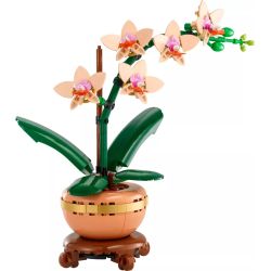 LEGO 10343 BOTANICALS MINI-ORCHIDEA GENNAIO 2025