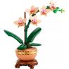 LEGO 10343 BOTANICALS MINI-ORCHIDEA GENNAIO 2025
