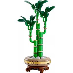 LEGO 10344 BOTANICALS BAMBÙ DEL BUON AUSPICIO GENNAIO 2025