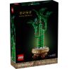 LEGO 10344 BOTANICALS BAMBÙ DEL BUON AUSPICIO GENNAIO 2025