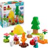 LEGO 10452 DUPLO GITA IN CAMPEGGIO MARZO 2025