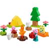 LEGO 10452 DUPLO GITA IN CAMPEGGIO MARZO 2025