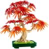 LEGO 10348 BOTANICALS BONSAI DI ACERO ROSSO GIAPPONESE GIUGNO 2025
