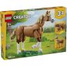 LEGO 31166 CREATOR  CAVALLO MERAVIGLIOSO AGOSTO 2025 2026 2027