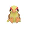 Pokemon Center Original Plush Doll Pokemon fit Pidgeot (Pijotto)  PELUCHE