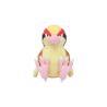 Pokemon Center Original Plush Doll Pokemon fit Pidgeot (Pijotto)  PELUCHE