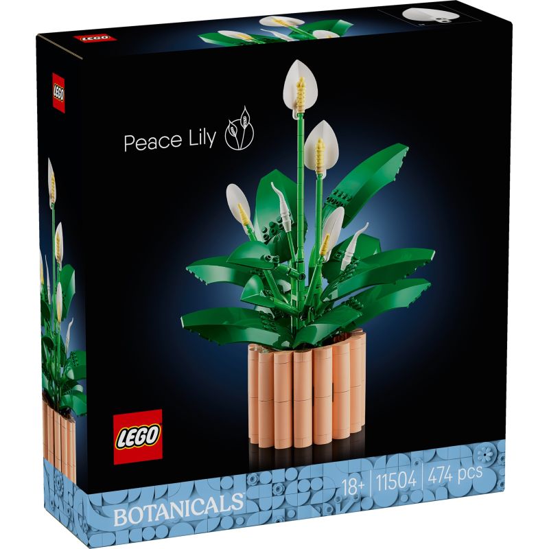 LEGO 11504 BOTANICALS SPATIFILLO GENNAIO 2026 2027