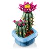 LEGO 11509 BOTANICALS CACTUS IN FIORE GENNAIO 2026 2027