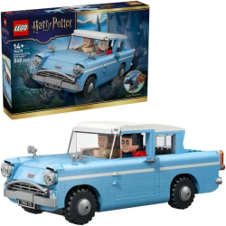 LEGO 76470 HARRY POTTER TM...