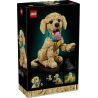 LEGO 11384 ICONS CUCCIOLO DI GOLDEN RETRIEVER APRILE 2026