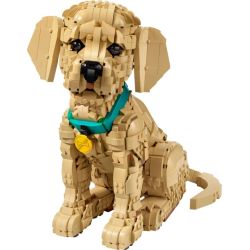 LEGO 11384 ICONS CUCCIOLO DI GOLDEN RETRIEVER APRILE 2026