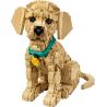 LEGO 11384 ICONS CUCCIOLO DI GOLDEN RETRIEVER APRILE 2026