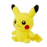 Pokemon Center Pikachu Soft Morbidone 22,5 cm