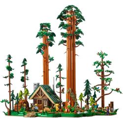LEGO 910058 BRICKLINK SENTIERO DELLE SEQUOIE