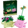 LEGO 11506 BOTANICALS PIANTE DONDOLANTI MAGGIO 2026 2027 2028