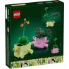 LEGO 11506 BOTANICALS PIANTE DONDOLANTI MAGGIO 2026 2027 2028