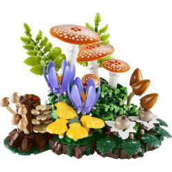 LEGO 11505 BOTANICALS FUNGHI DEL BOSCO GIUGNO 2026 2027 2028
