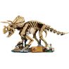 LEGO 77985 JURASSIC WORLD FOSSILI DI DINOSAURO: TRICERATOPO GIUGNO 2026