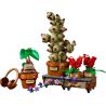 LEGO 76474 HARRY POTTER PIANTE DI ERBOLOGIA DI HOGWARTS GIUGNO 2026